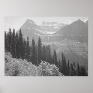 Schwarzweiß-Bäume- und Berge-Poster Poster