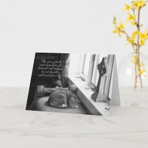 Schwarzweiß-Beileid-Karte für Katzenverlust Karte