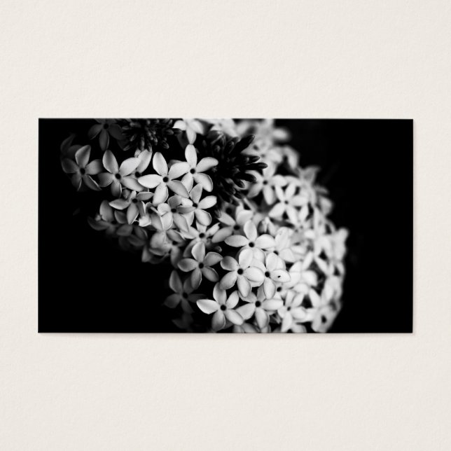 Schwarzweiß-Blume (Vorderseite)