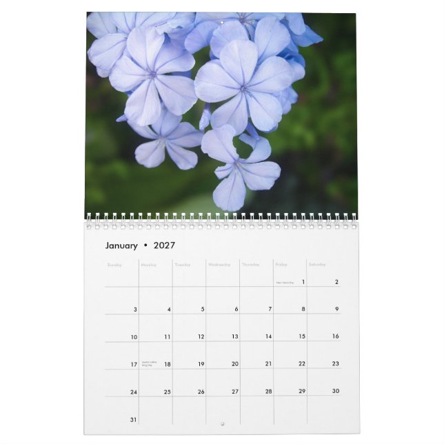 Schwarzweiß-Blume Kalender (Jan 2027)