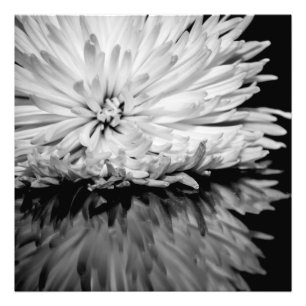 Schwarzweiss-Blumen-Foto Fotodruck