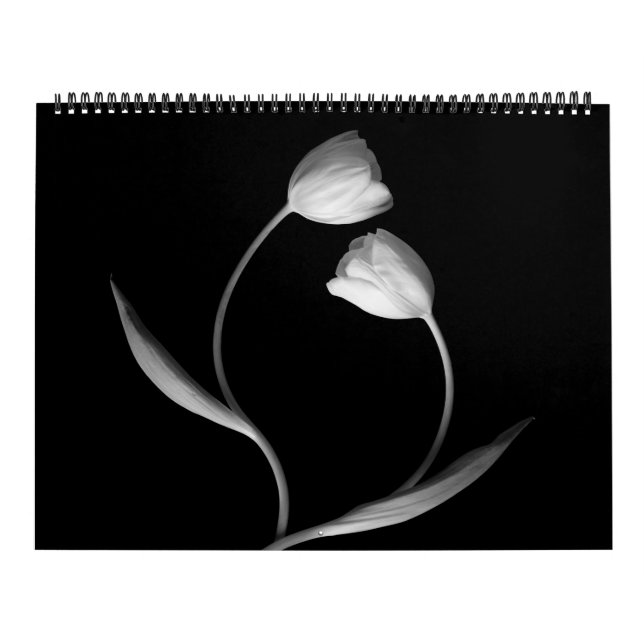 Schwarzweiss-Blumen-Kalender Kalender (Titelbild)