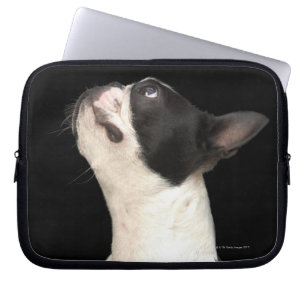 Schwarzweiss-Boston Terrier, das oben schaut Laptopschutzhülle