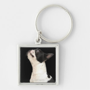 Schwarzweiss-Boston Terrier, das oben schaut Schlüsselanhänger