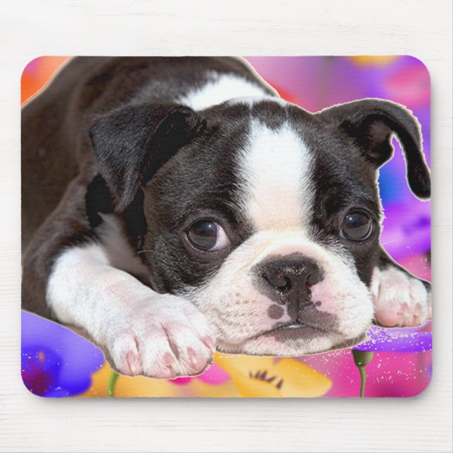 Schwarzweiss-Boston Terrier Mousepad (Vorne)