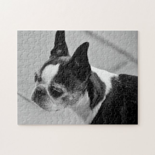 Schwarzweiss-Boston Terrier Puzzle (Horizontal)
