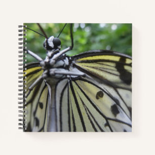 Schwarzweiß-Butterfly Nah Up-Notebook Notizbuch
