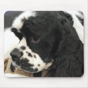 Schwarzweiss-Cocker spaniel-Mausunterlage Mousepad