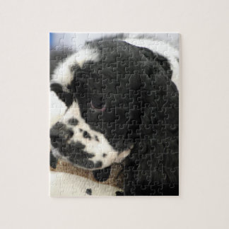 Schwarzweiss-Cocker spaniel-Puzzlespiel Puzzle