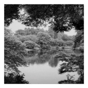 Schwarzweiß, cool, einzigartig Natur und See Poster