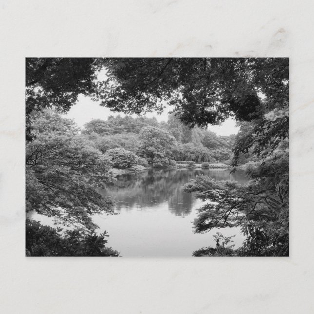 Schwarzweiß, cool, einzigartig Natur und See Postkarte (Vorderseite)