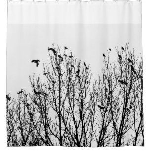 Schwarzweiss-Duschvorhang, Vogel, Baum-Foto Duschvorhang