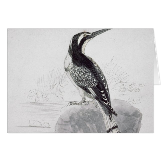 Schwarzweiss-Eisvogel (Vorderseite (Horizontal))