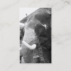 Schwarzweiss-Elefant Visitenkarte