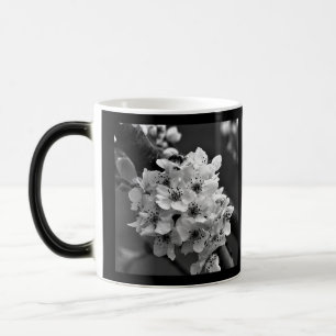 Schwarzweiß-Foto kleine weiße Blumen Verwandlungstasse