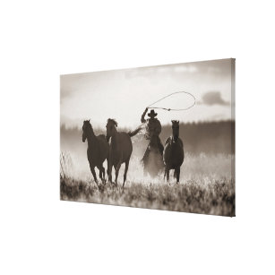 Schwarzweiss-Foto von ein Cowboy Lassoing Pferden Leinwanddruck