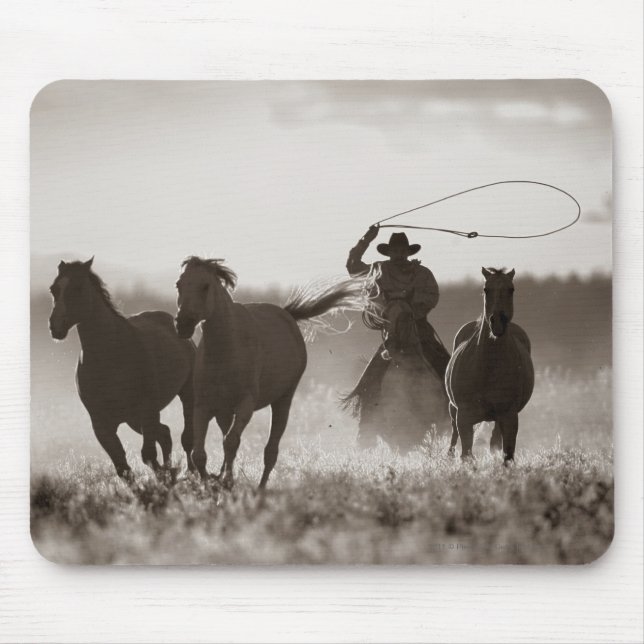 Schwarzweiss-Foto von ein Cowboy Lassoing Pferden Mousepad (Vorne)