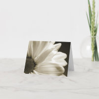 Schwarzweiss-Gänseblümchen Notecard