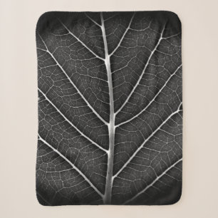 Schwarzweiß glühendes Blatt Nahaufnahme Sherpadecke