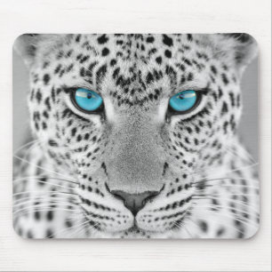 Schwarzweiss-Jaguar mit blauen Augen Mousepad