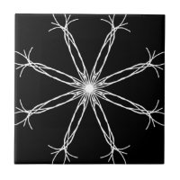 Schwarzweiss-Kaleidoskop-Stern