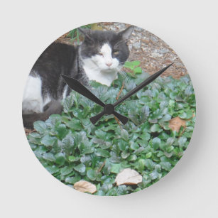 Schwarzweiss-Katze im Grün Runde Wanduhr