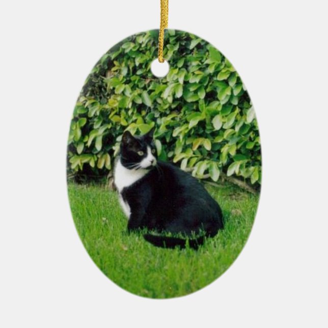 Schwarzweiss-Katze Keramik Ornament (Vorne)