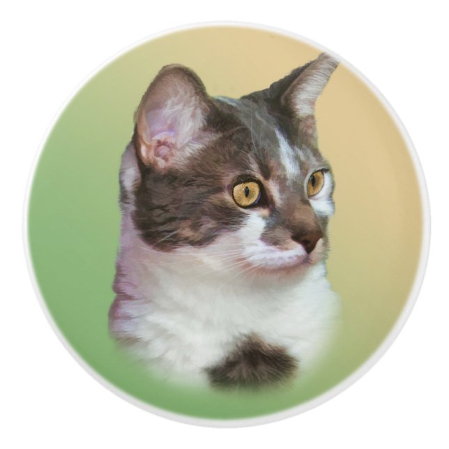 Schwarzweiss-Katze, kundengerecht Keramikknauf (Vorderseite)