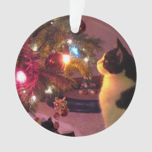 Schwarzweiss-Katze mit Weihnachtsbaum-Verzierung Ornament