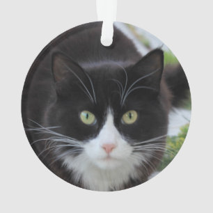 Schwarzweiss-Katze Ornament