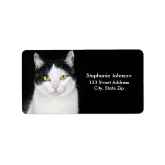 Schwarzweiss-Katzen-Porträt Adressaufkleber