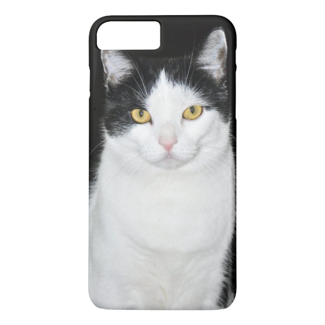 Schwarzweiss-Katzen-Porträt Case-Mate iPhone Hülle (Rückseite)