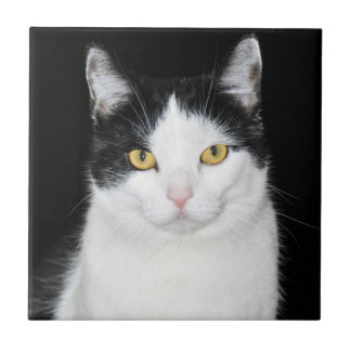 Schwarzweiss-Katzen-Porträt Fliese