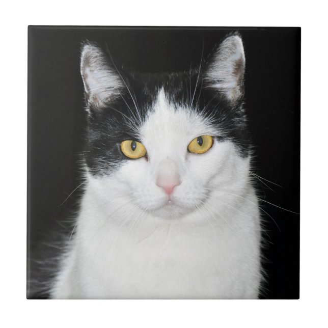 Schwarzweiss-Katzen-Porträt Fliese (Vorderseite)