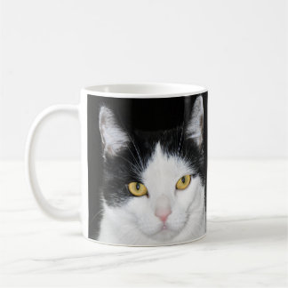 Schwarzweiss-Katzen-Porträt Kaffeetasse
