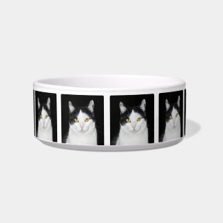 Schwarzweiss-Katzen-Porträt Napf
