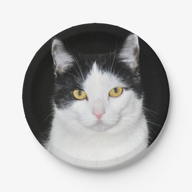 Schwarzweiss-Katzen-Porträt Pappteller (Vorderseite)