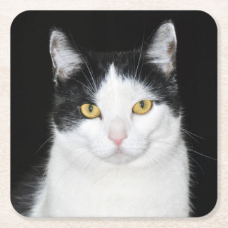 Schwarzweiss-Katzen-Porträt Rechteckiger Pappuntersetzer