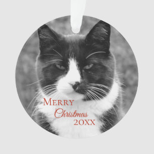 Schwarzweiss-Katzen-Weihnachten Ornament