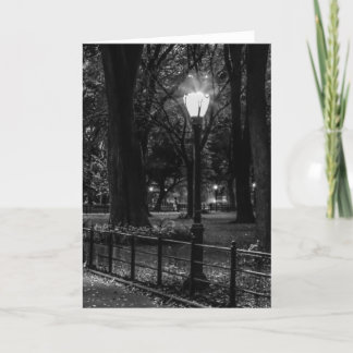 Schwarzweiss-LandschaftsFoto von Central Park Karte