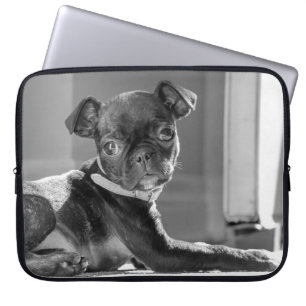 Schwarzweiss-Mops Bullie Kunst-Druck Laptopschutzhülle