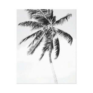 Schwarzweiss-Palme-Foto Leinwanddruck