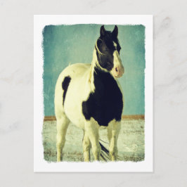 Schwarzweiß-Pin Postkarte