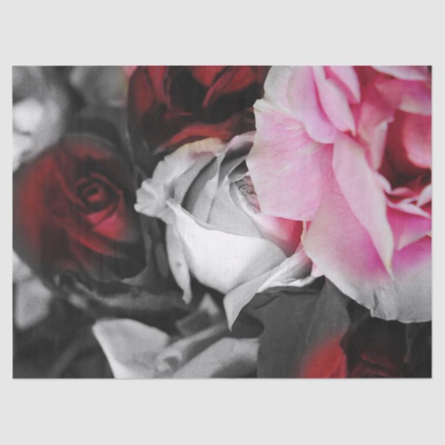 Schwarzweiss-Rosen verblassen Seidenpapier (Vorderseite)