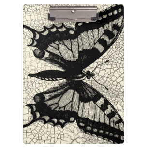 Schwarzweiss-Schmetterling auf gebrochenem Klemmbrett