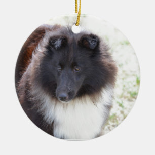 Schwarzweiss-Sheltie Keramik Ornament