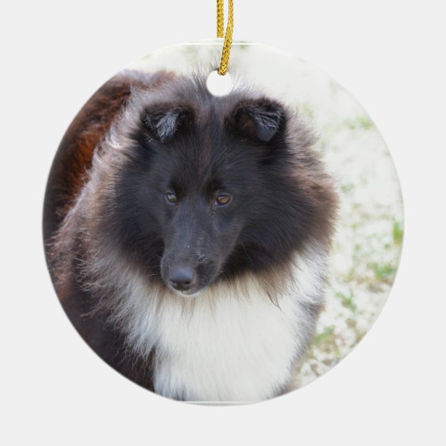 Schwarzweiss-Sheltie Keramik Ornament (Vorne)