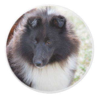 Schwarzweiss-Sheltie Keramikknauf