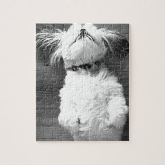 Schwarzweiss-Shih--Tzuwelpe Puzzle