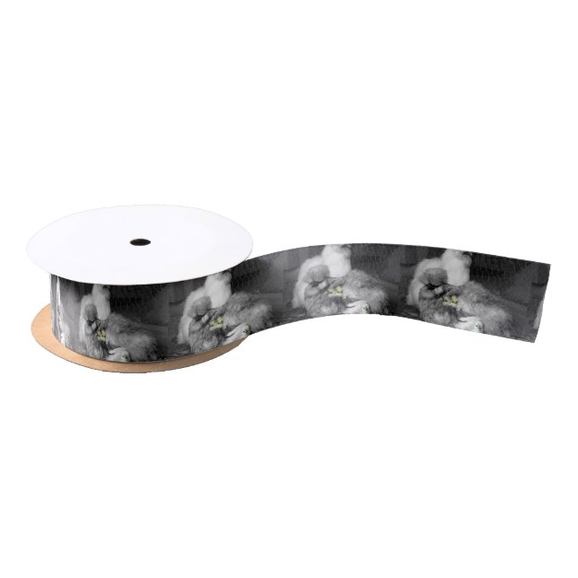 Schwarzweiss-Silkie Hühner mit gelben Küken Satinband (Spule)